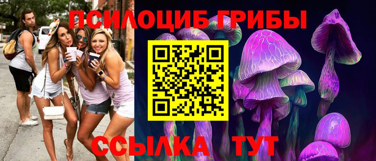Уварово  Псилоцибиновые грибы Psilocybine cubensis  Вход с VPN 
