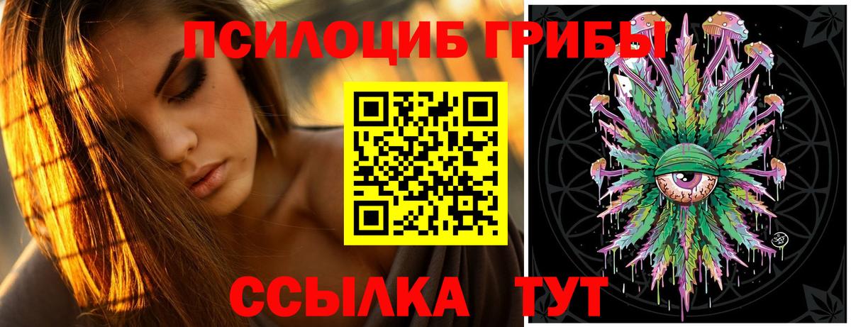 Псилоцибиновые грибы Psilocybe Уварово